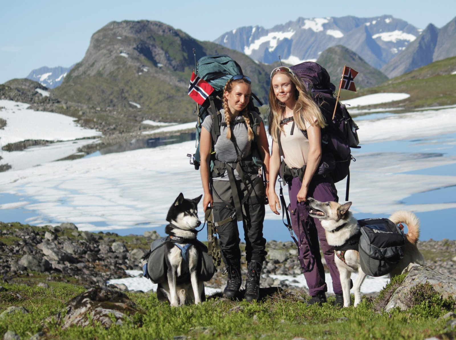 Two hikers with backpacks standing by a glacial lake, accompanied by dogs wearing packs, with Norwegian flags, surrounded by snow-capped mountains and green terrain.