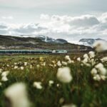 norwegian train riding through fjell landscape